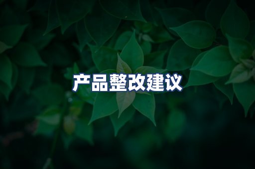 产品整改建议