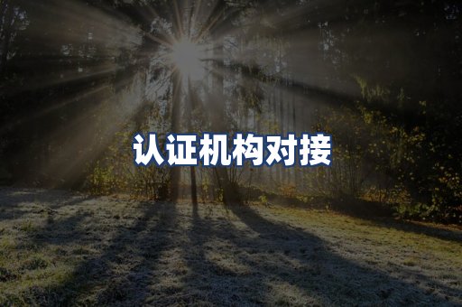 认证机构对接